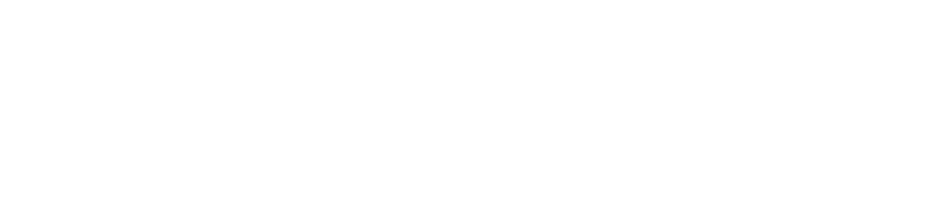 Squish logo